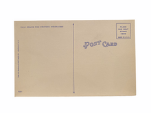Load image into Gallery viewer, Peak’s Knob, Pulaski, Virginia, Photo by David C. Kent Unused Postcard Circa 1930-1944