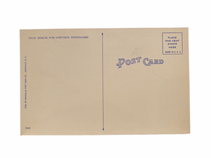 Peak’s Knob, Pulaski, Virginia, Photo by David C. Kent Unused Postcard Circa 1930-1944