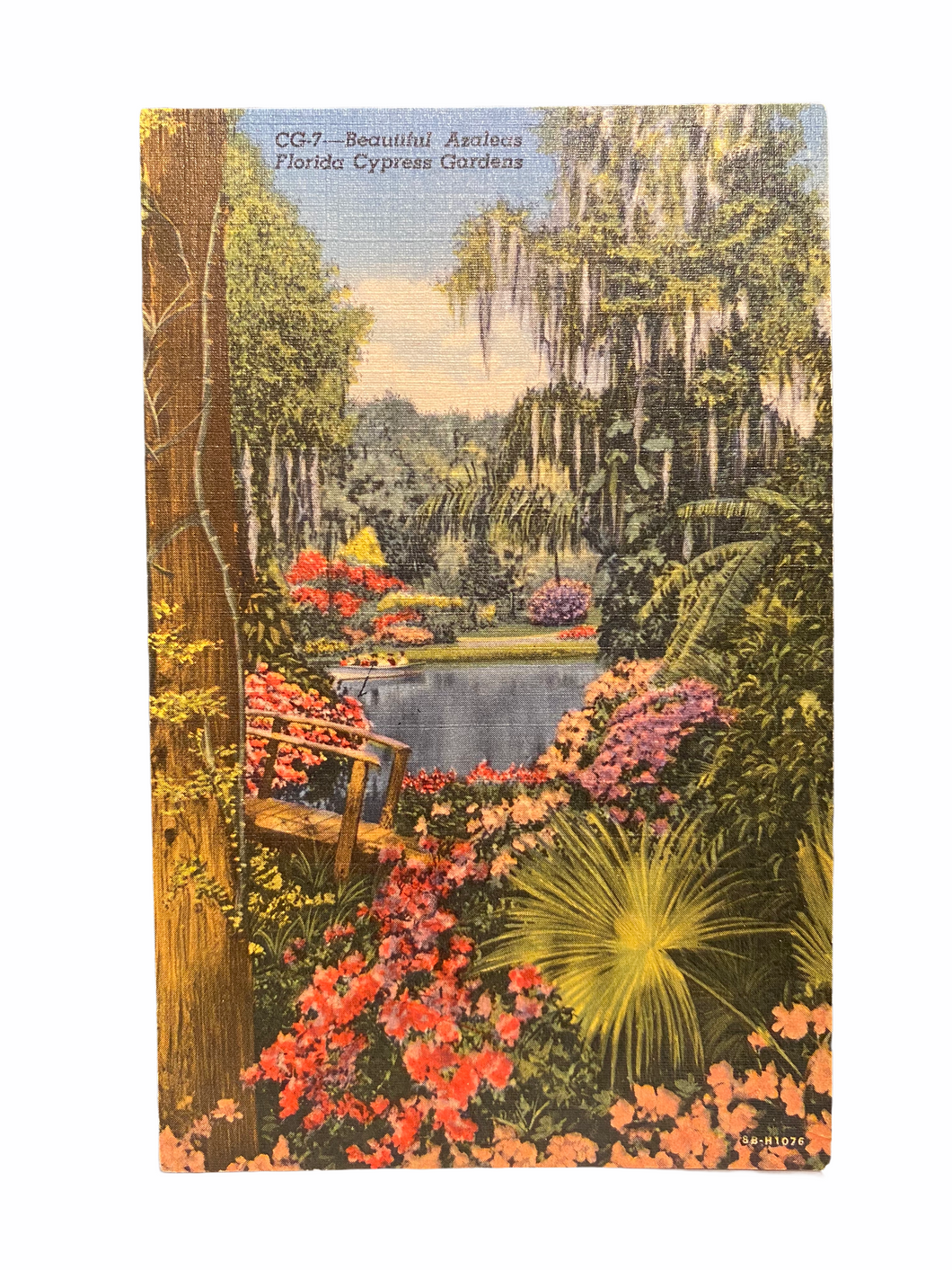 Beautiful Azaleas Florida Cypress Gardens. Unused Linen Postcard Circa 1930-1944
