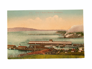 View of Harbor, Everett, Washington. Unused Postcard Circa 1907-1915